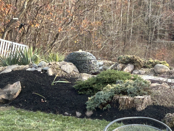 Sewell Backyard Pond & Waterfall Renovation